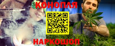 шишки Дубна