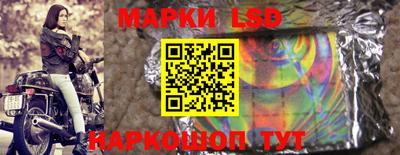 шишки Дубна