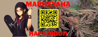 шишки Дубна