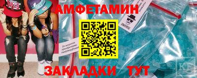 шишки Дубна