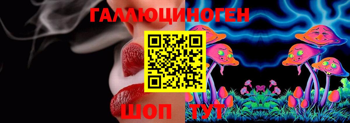 Псилоцибиновые грибы Psilocybe  Вход с VPN  Курчатов 